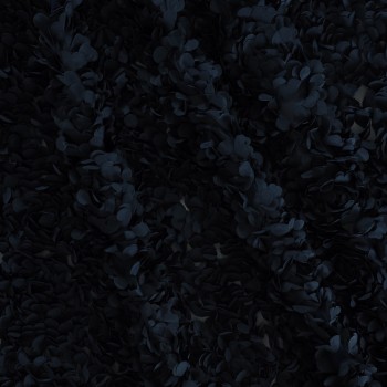 Navy 3d embroidered petals